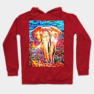 Elephant in Colors Hoodie